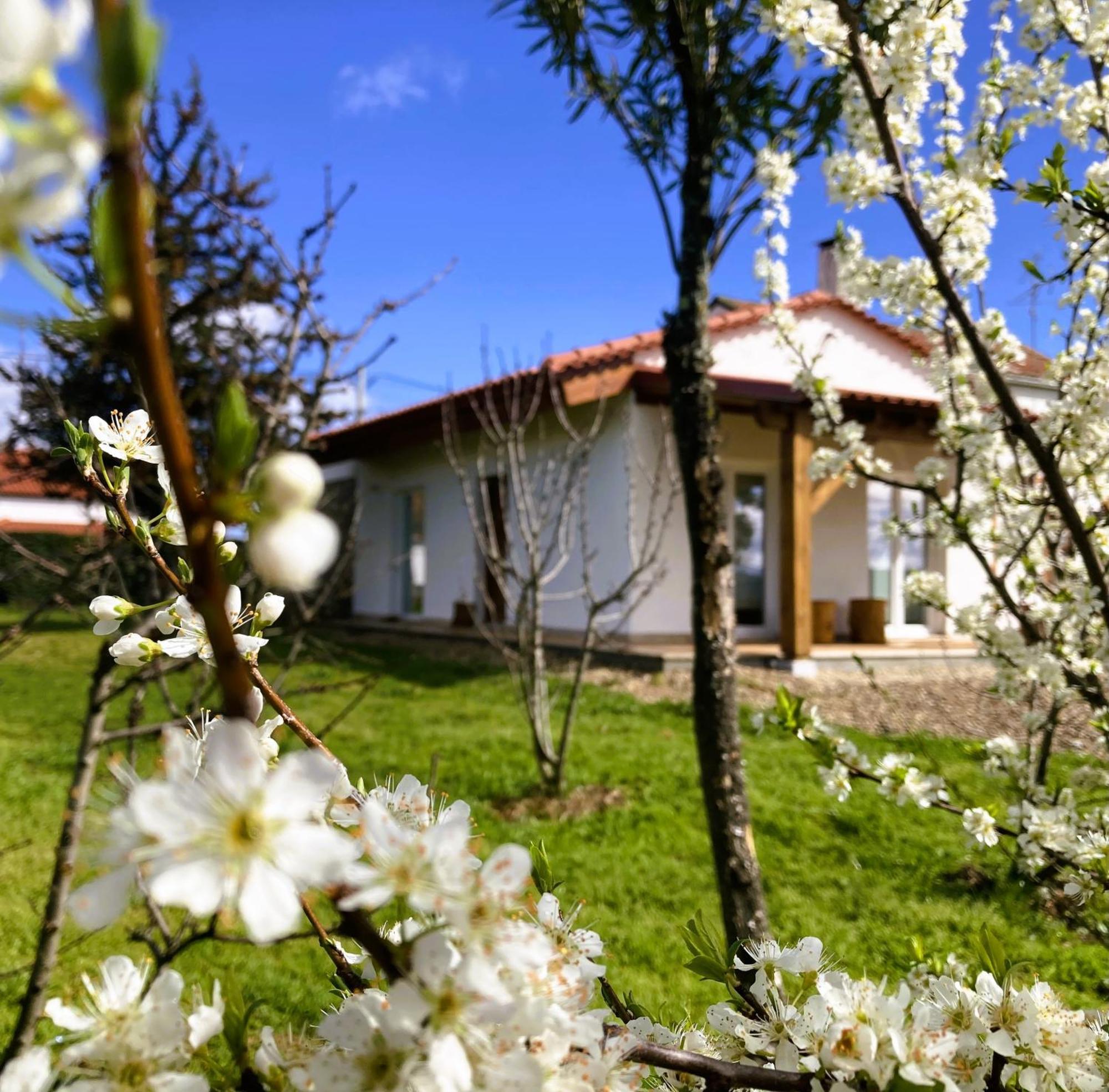 Ar Da Beira Villa Belmonte  Exterior foto