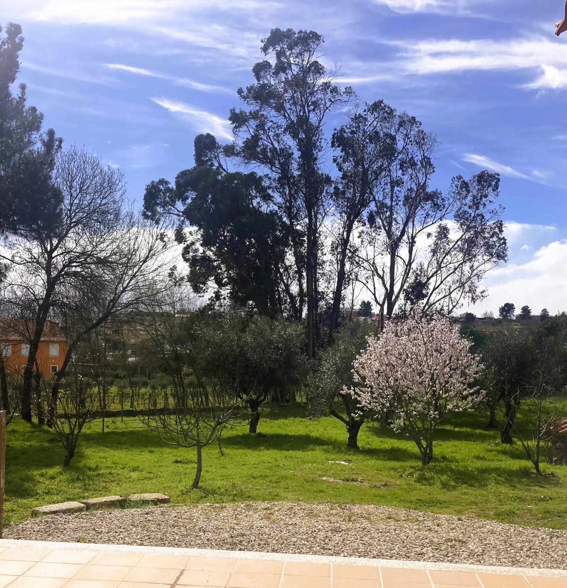 Ar Da Beira Villa Belmonte  Exterior foto